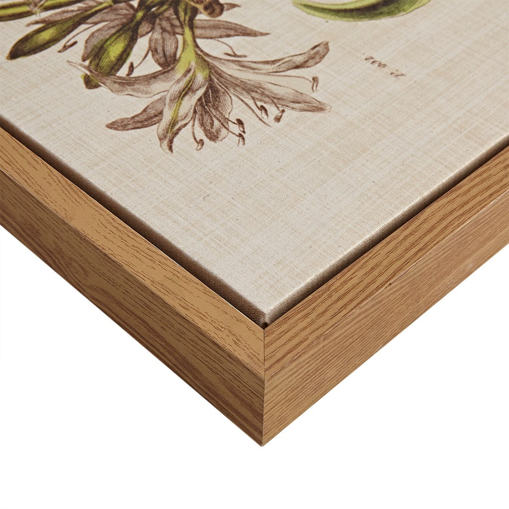 Herbal Botany Framed Linen Canvas 4 Piece Set